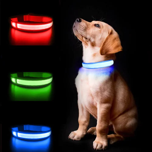 Airtag LED nightwalk collar