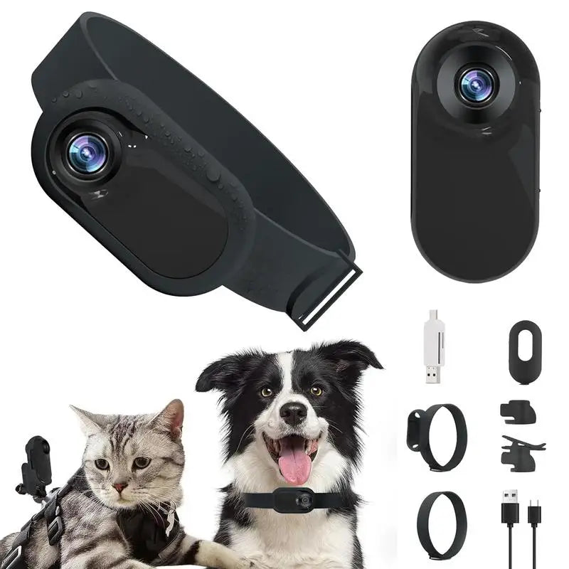 PET collar camera